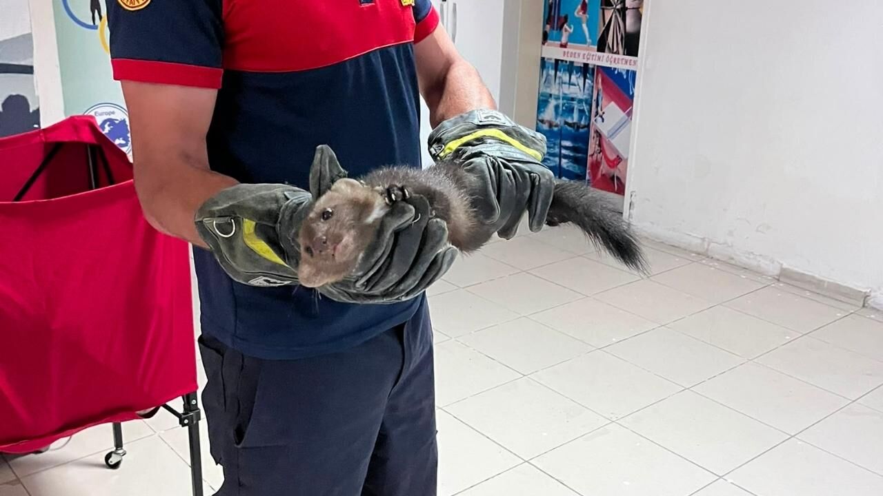 Yozgat'ta Akıl Almaz Olay! İtfaiye Kurtardı (1)