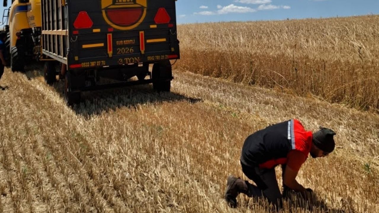 Yozgat'ta Biçerdöver Denetimleri Sürüyor2