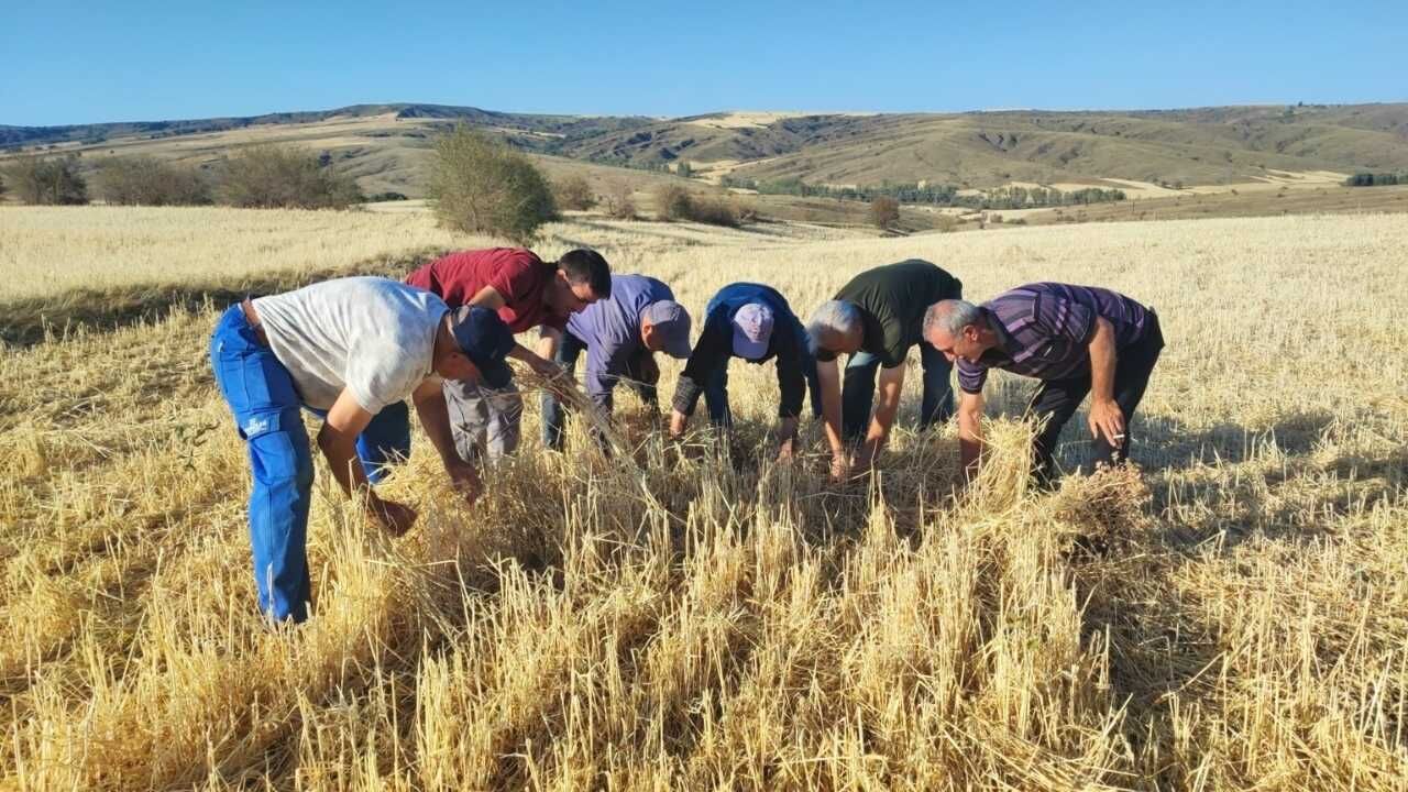 Yozgat'ta Dolu Felaketi 15 Dakikada Mahsuller Yerle Bir Oldu (4)