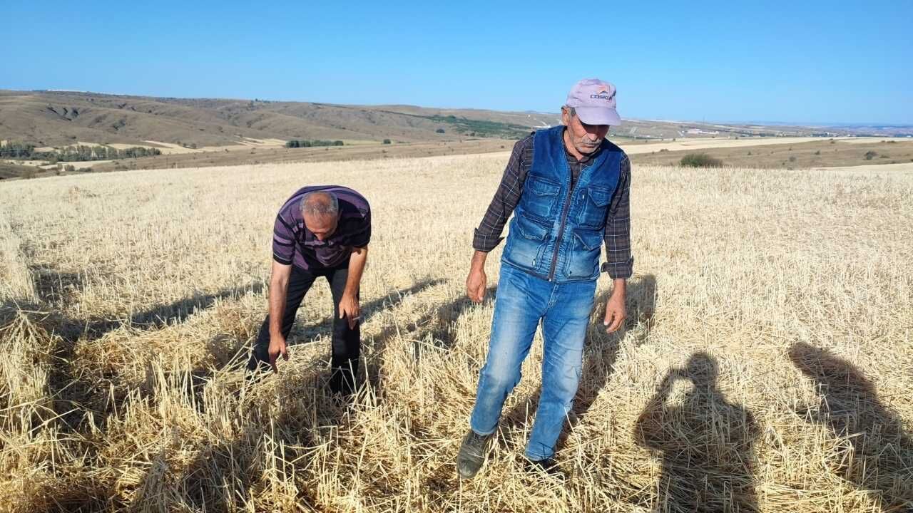 Yozgat'ta Dolu Felaketi 15 Dakikada Mahsuller Yerle Bir Oldu (5)