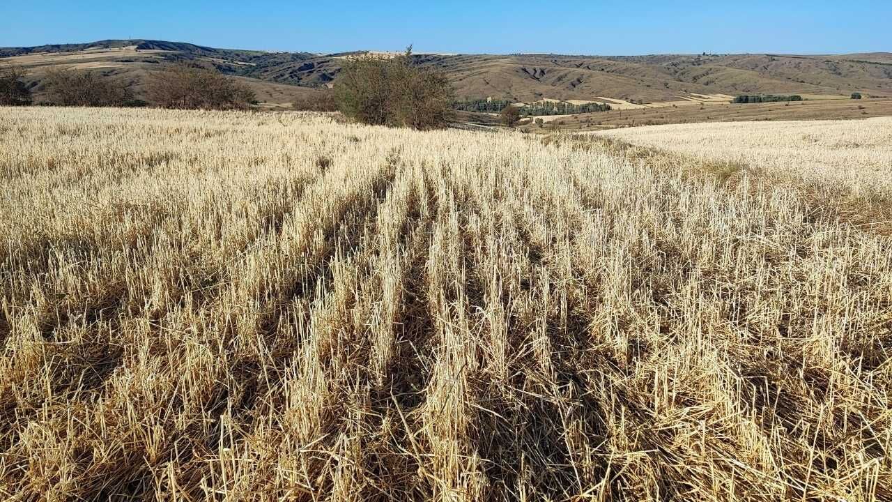 Yozgat'ta Dolu Felaketi 15 Dakikada Mahsuller Yerle Bir Oldu (6)