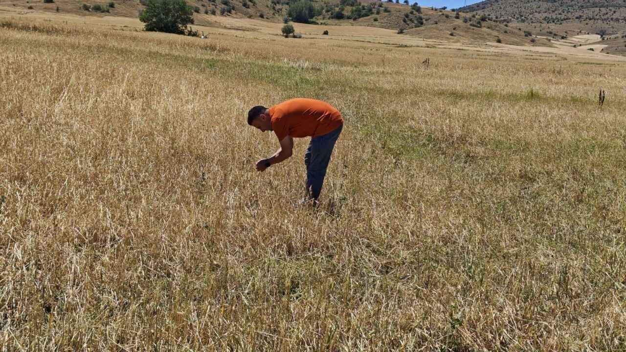 Yozgat'ta Dolu Zararı (1)