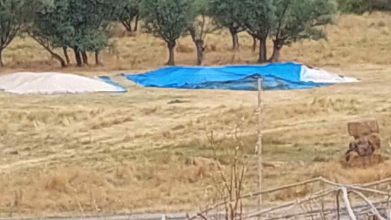 Yozgat’ta Hasat Durdu, Çiftçi Beklemeye Geçti (1)-1