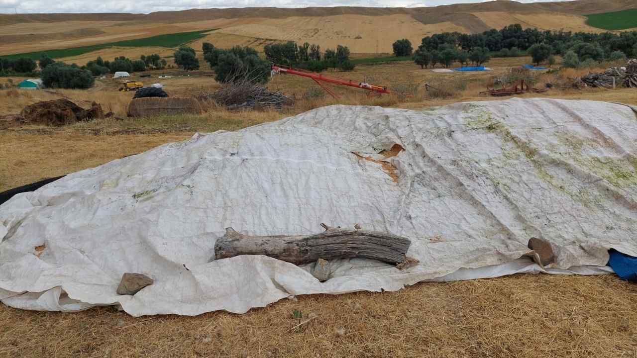 Yozgat’ta Hasat Durdu, Çiftçi Beklemeye Geçti (3)