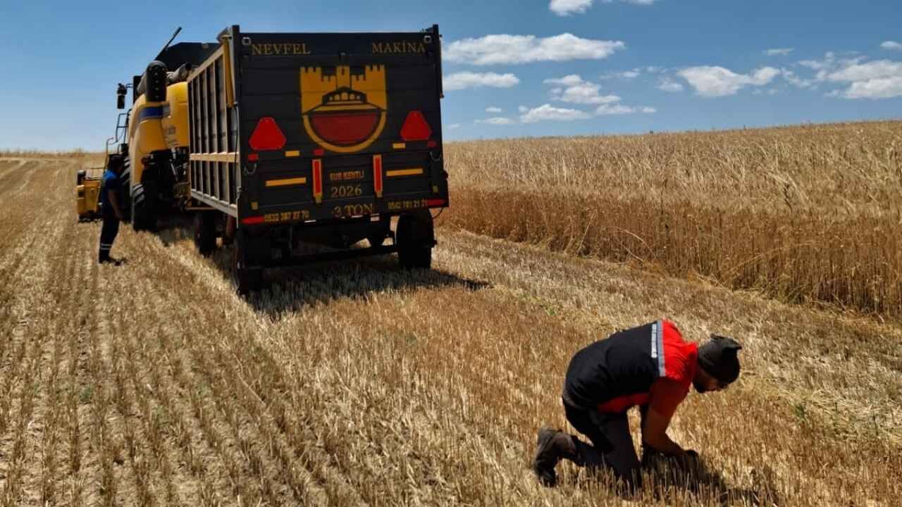 Yozgat’ta Hasat Zamanı Sıkı Takip Dane Kaybını Önlemek İçin Sahadalar!