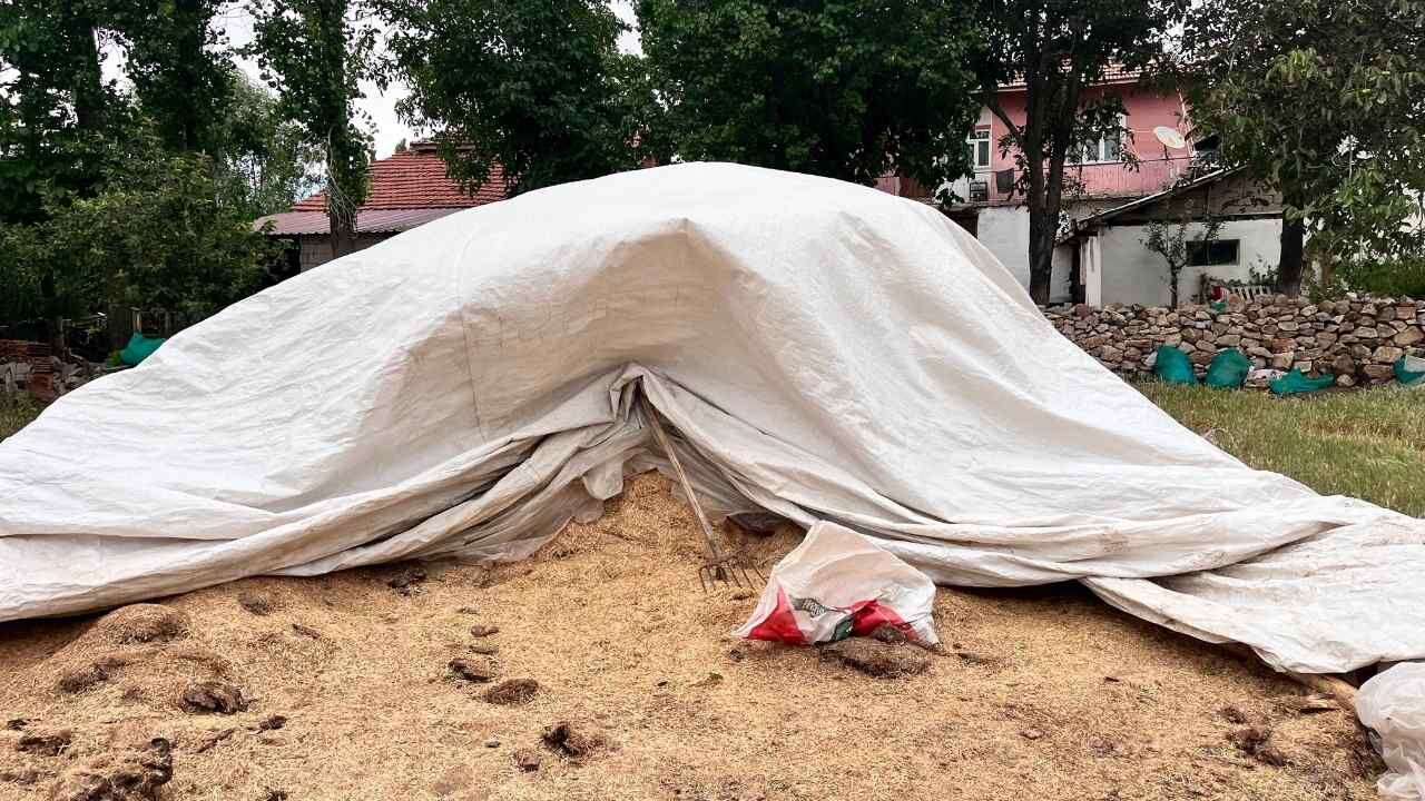 Yozgat'ta Hayvancılıkta Maliyetler Gündemde (3)