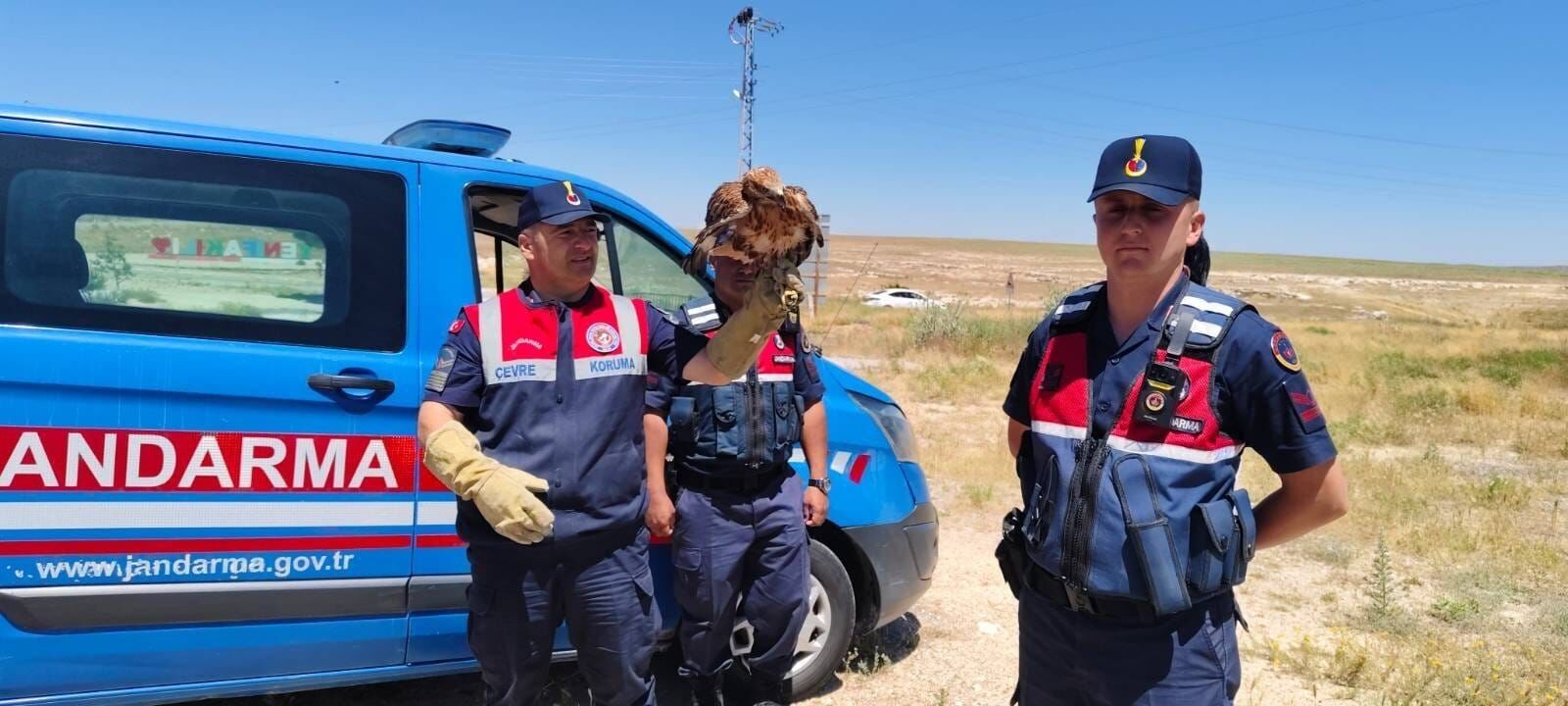Yozgat'ta Jandarma Yaban Hayatına Sahip Çıkıyor
