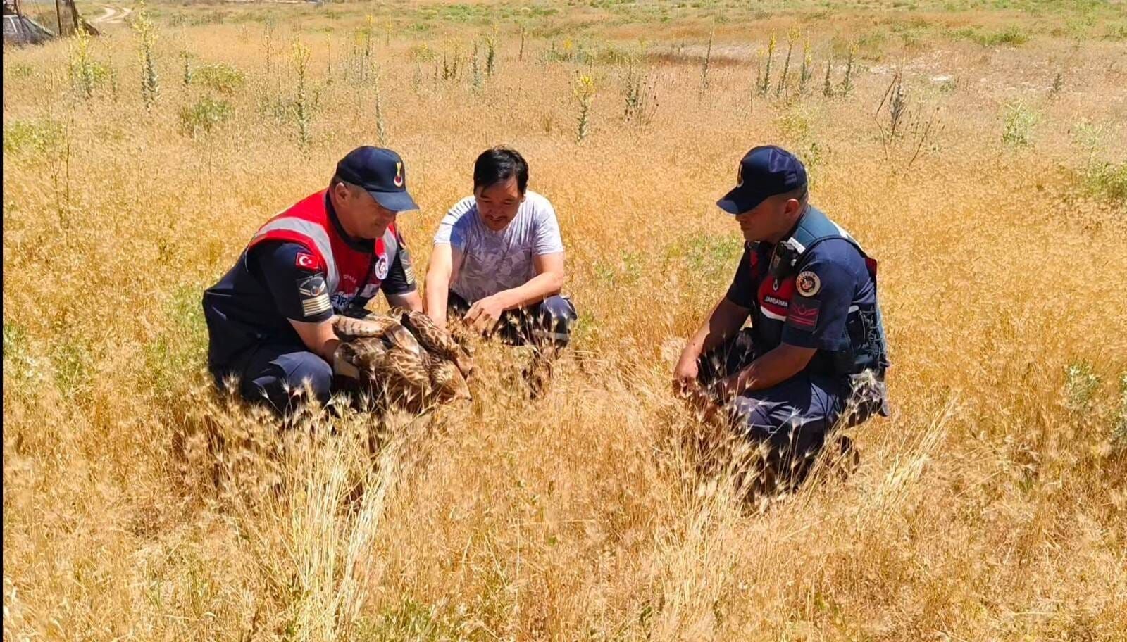 Yozgat'ta Jandarma Yaban Hayatına Sahip Çıkıyor1