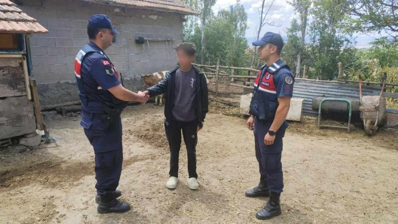Yozgat'ta Kaybolan Büyükbaş Hayvanları Jandarma Buldu