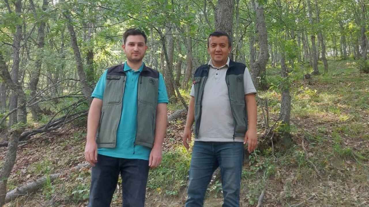 Yozgat'ta Kayın Gen Koruma Ormanı Mercek Altında! (1)