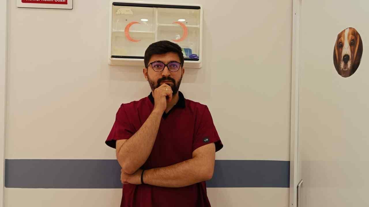 Yozgat'ta Kedi Ve Köpek Sahipleri Bu Habere Dikkat (6)