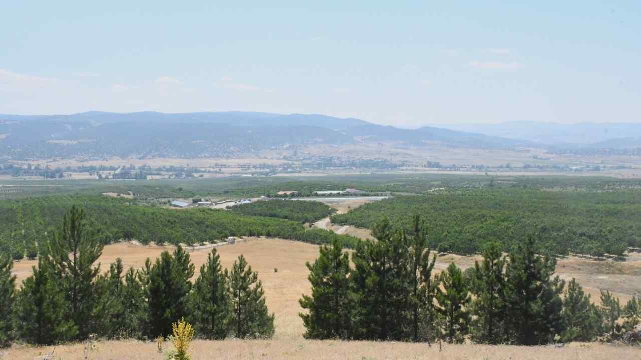 Yozgat'ta Meyvecilik Köyün Kaderini Değiştirdi (3)