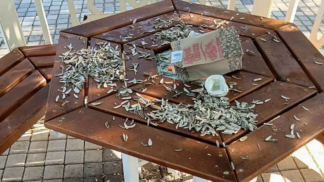 Yozgat'ta Parklar Tahrip Edildi! Belediye Başkanı Vatandaşlara Çağrı Yaptı (1)