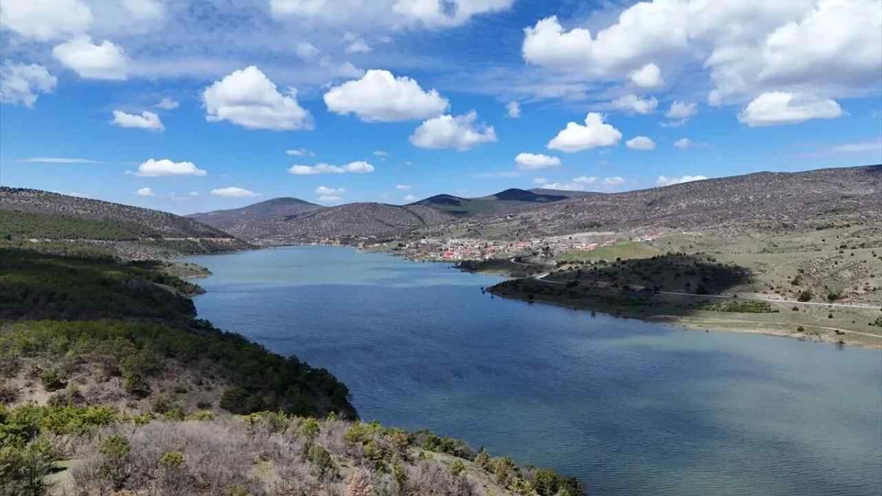 Yozgat'ta Sıcak Hava Yeni Tehlikeyi Getirdi! (2)