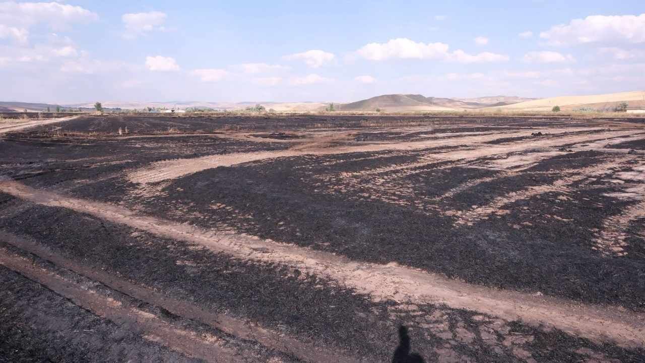 Yozgat'ta Tarım Arazisinde Yangın Çıktı (3)-1