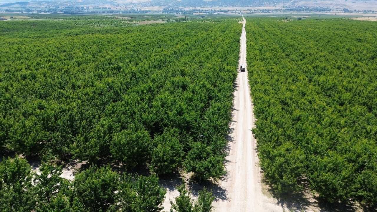 Yozgat’tan Çin Ve Avrupa’ya Uzanan Yolculuk Sessiz Sedasız Dünya Markası Oldular! (1)
