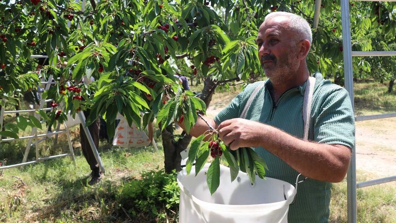 Yozgat’tan Çin Ve Avrupa’ya Uzanan Yolculuk Sessiz Sedasız Dünya Markası Oldular! (2)