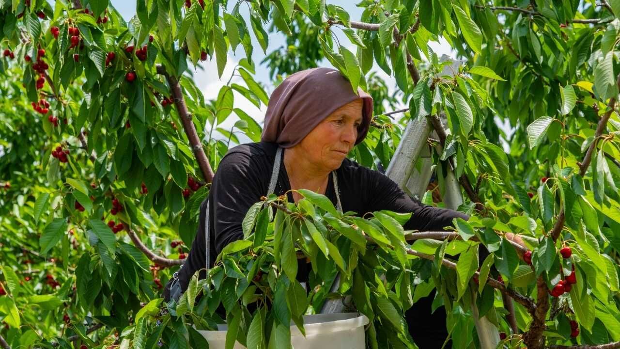 Yozgat’tan Çin Ve Avrupa’ya Uzanan Yolculuk Sessiz Sedasız Dünya Markası Oldular! (3)