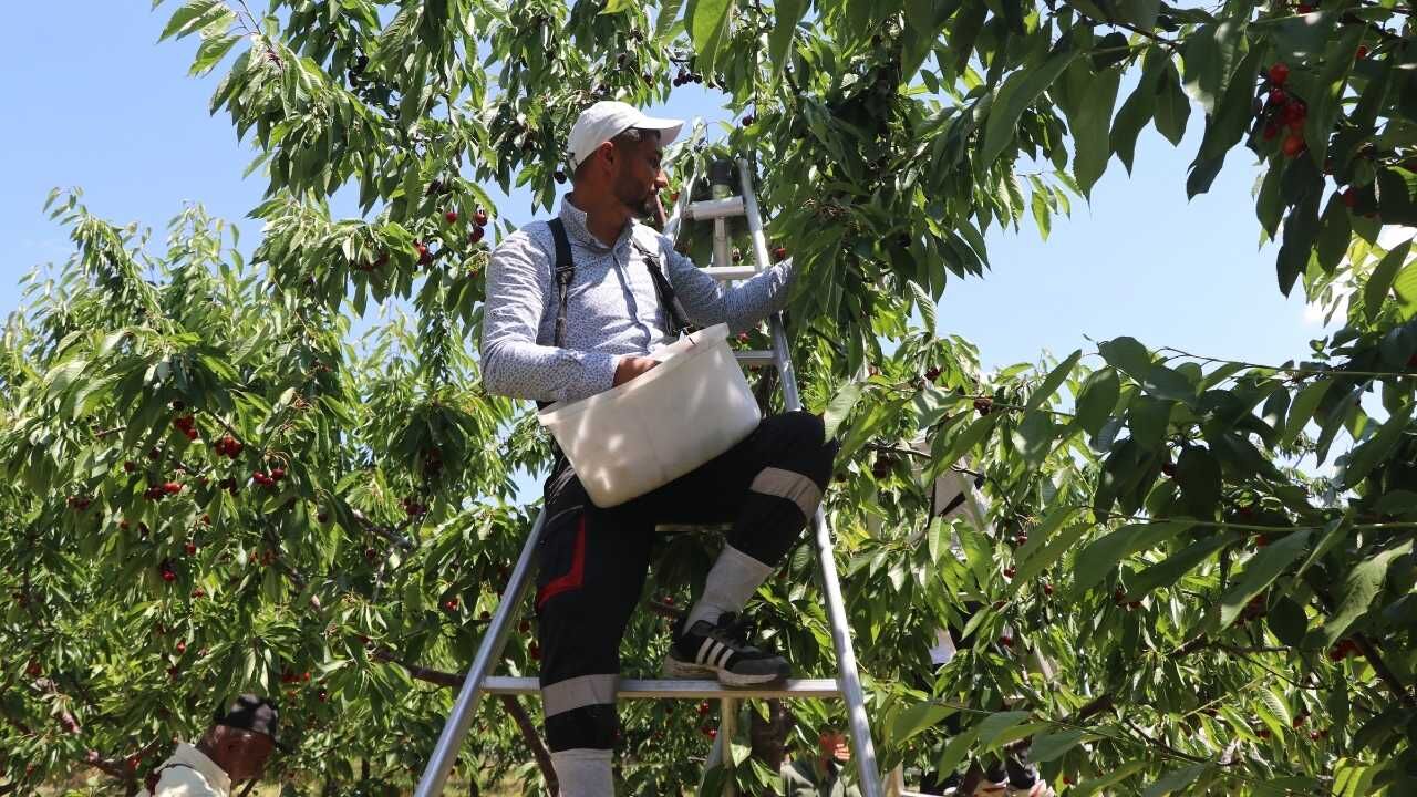 Yozgat’tan Çin Ve Avrupa’ya Uzanan Yolculuk Sessiz Sedasız Dünya Markası Oldular! (4)