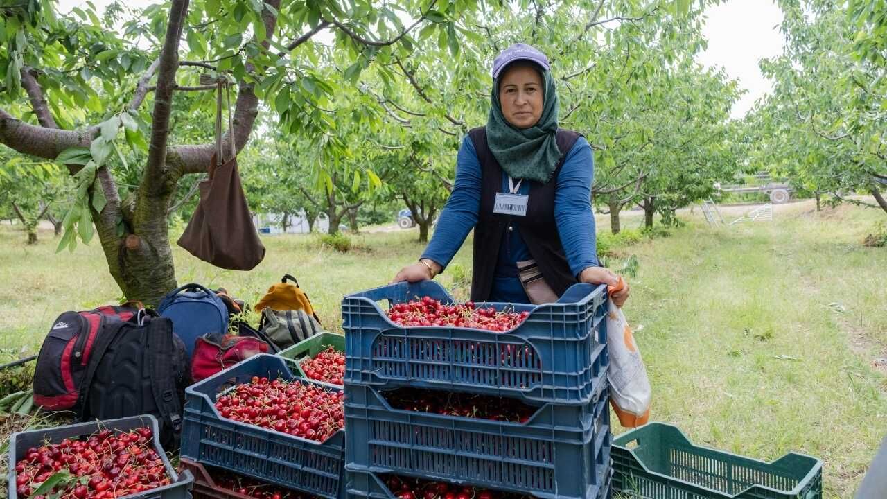 Yozgat’tan Çin Ve Avrupa’ya Uzanan Yolculuk Sessiz Sedasız Dünya Markası Oldular! (5)
