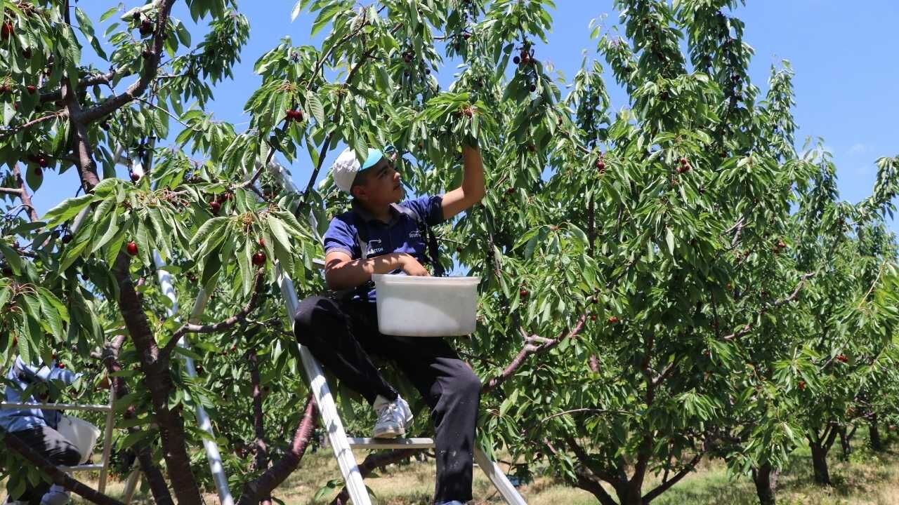 Yozgat’tan Çin Ve Avrupa’ya Uzanan Yolculuk Sessiz Sedasız Dünya Markası Oldular! (6)