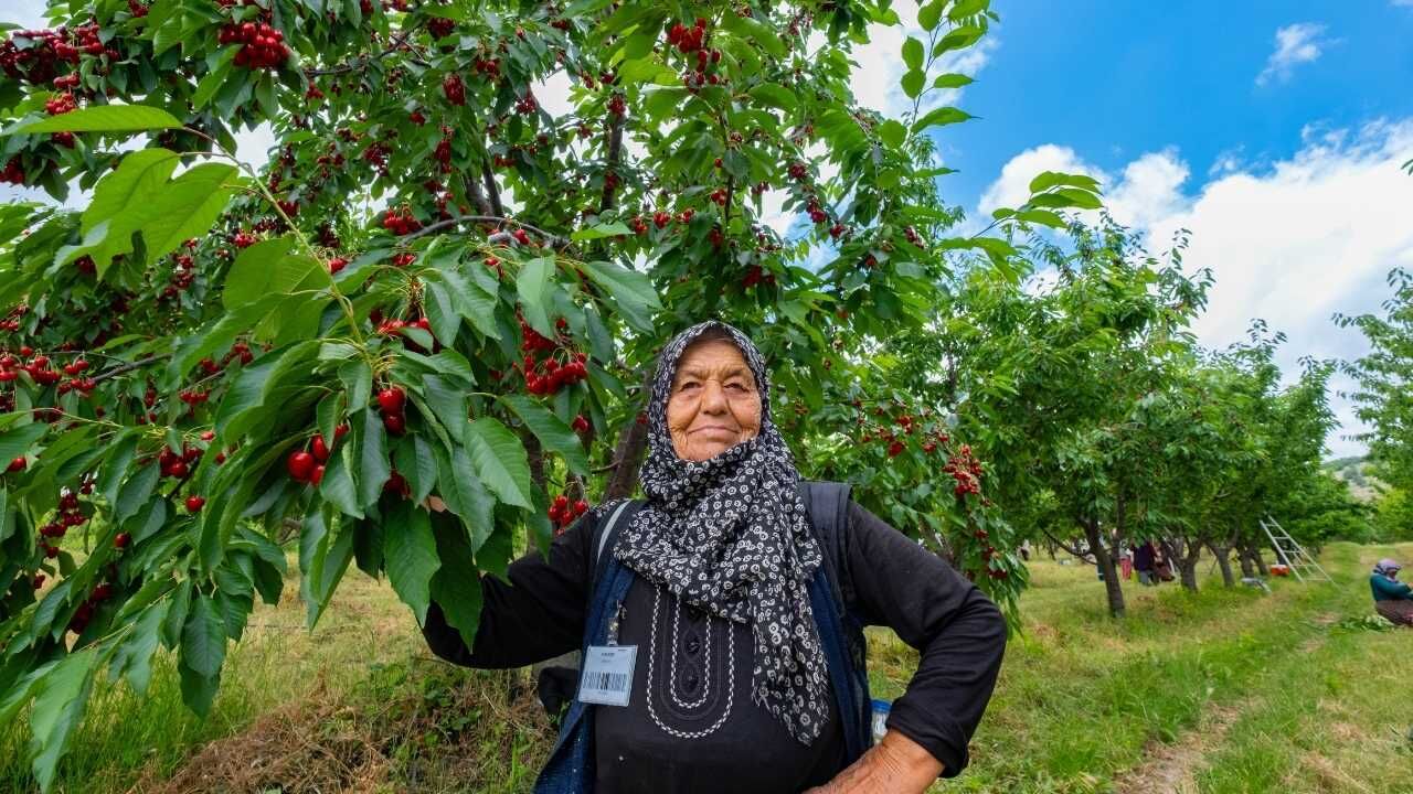 Yozgat’tan Çin Ve Avrupa’ya Uzanan Yolculuk Sessiz Sedasız Dünya Markası Oldular! (7)