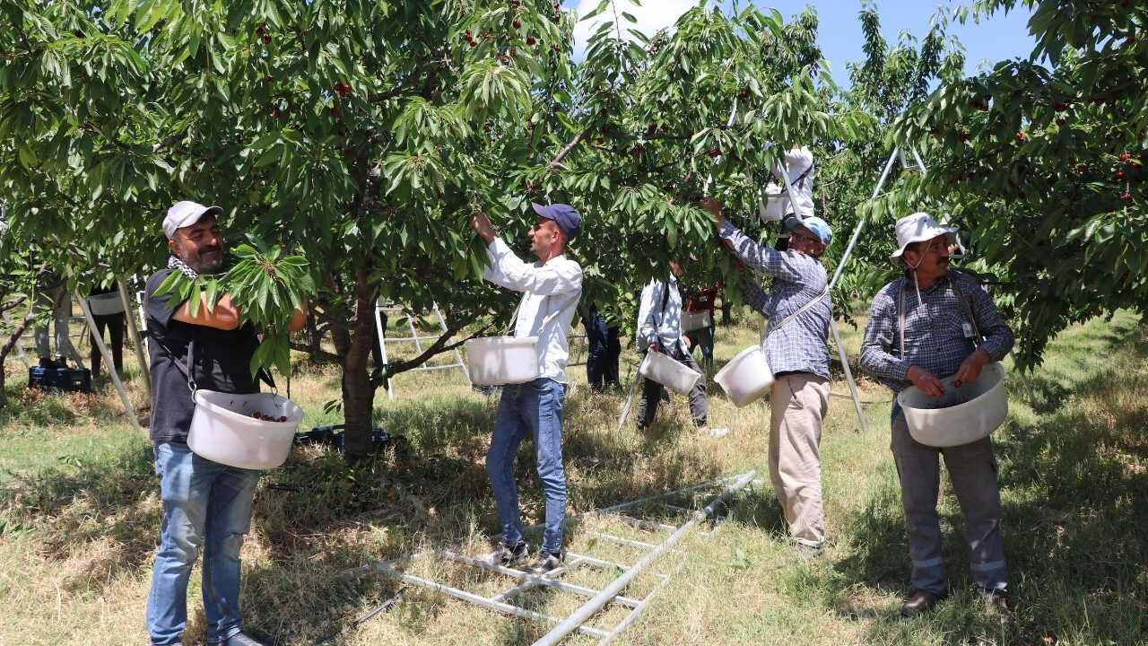 Yozgat’tan Çin Ve Avrupa’ya Uzanan Yolculuk Sessiz Sedasız Dünya Markası Oldular! (9)