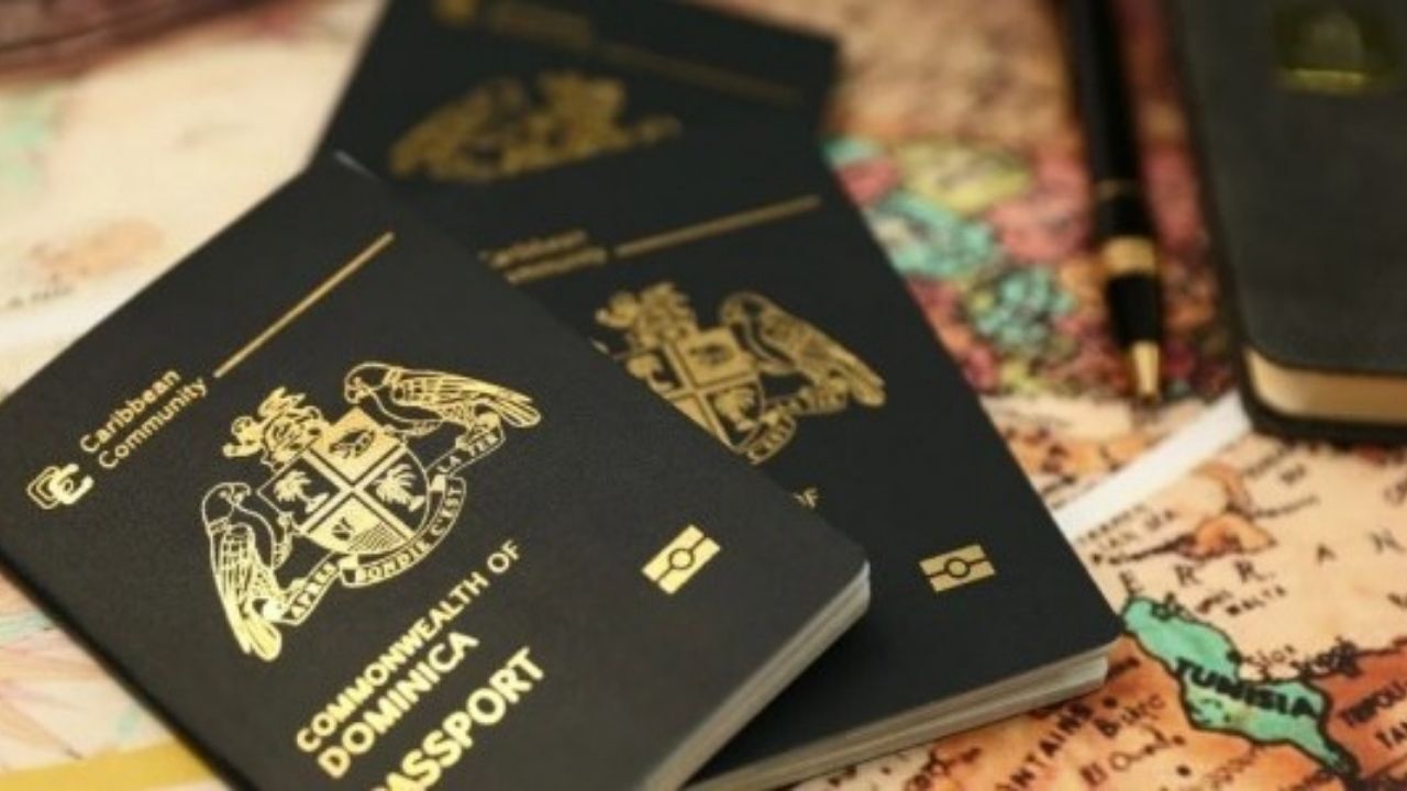 Altın Pasaport Nedir Altın Pasaportla Kaç Ülkeye Gidilir