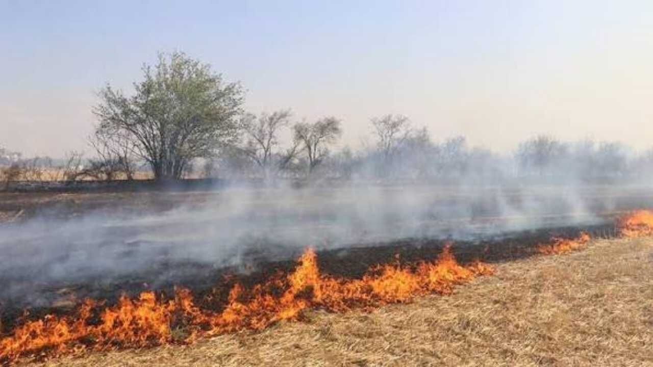 Anız Yakmak Suçtur Yozgat Valiliği'nden Sıcak Hava Uyarısı (2)