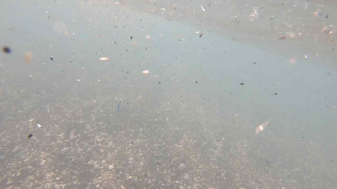 Antalya Denizlerinde Mikroplastik Tehlikesi (2)