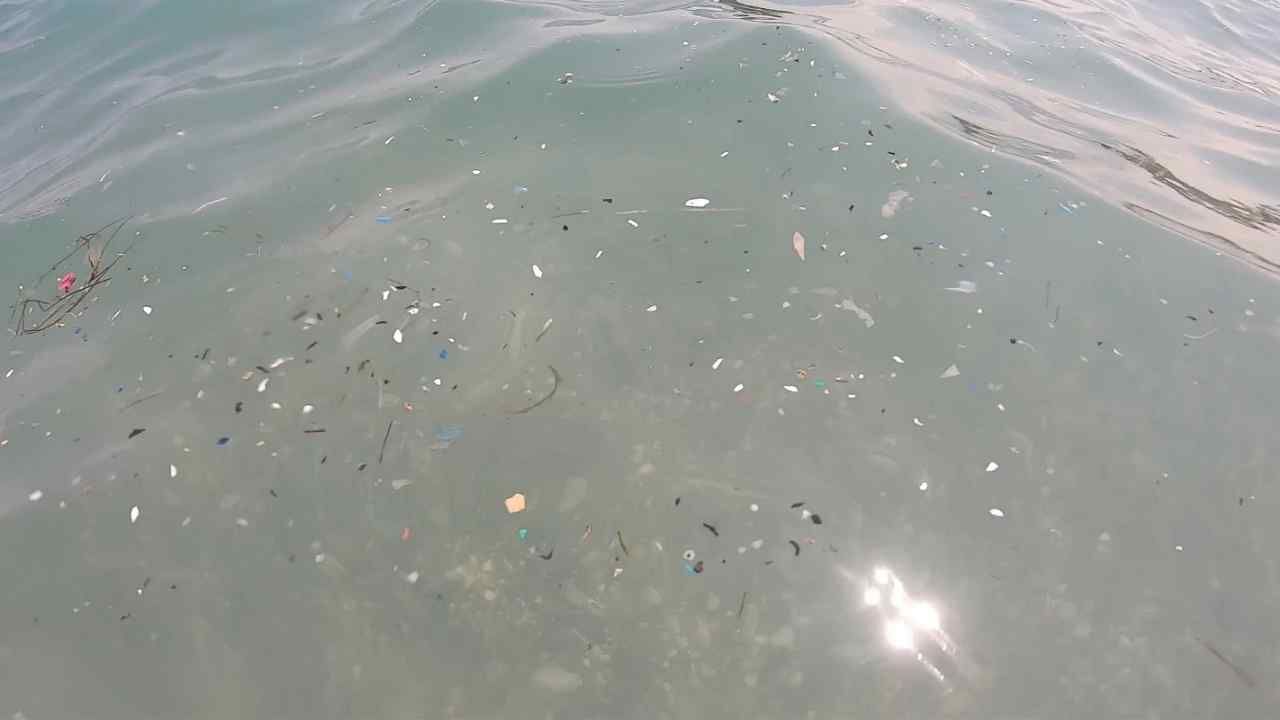 Antalya Denizlerinde Mikroplastik Tehlikesi (3)