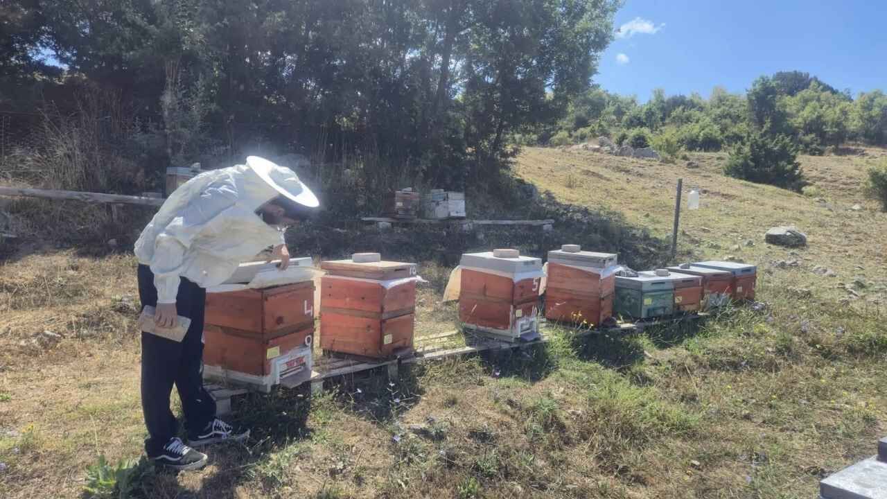 Arılı Kovan Tespiti Başladı!