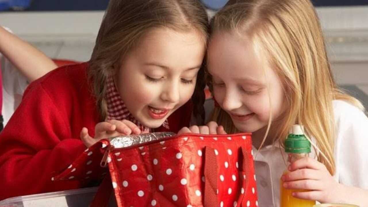 Beslenme Çantasına Ne Konmalı Yozgatlı Diyetisyenden Velilere Önemli Tavsiyeler (3)