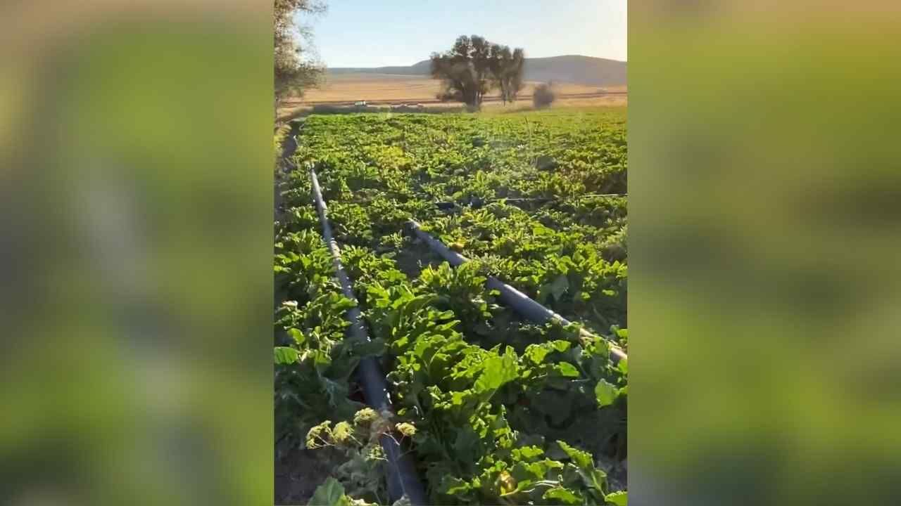 Esenli Sulama Birliği’nden Yozgatlı Çiftçilere Su Uyarısı (4)