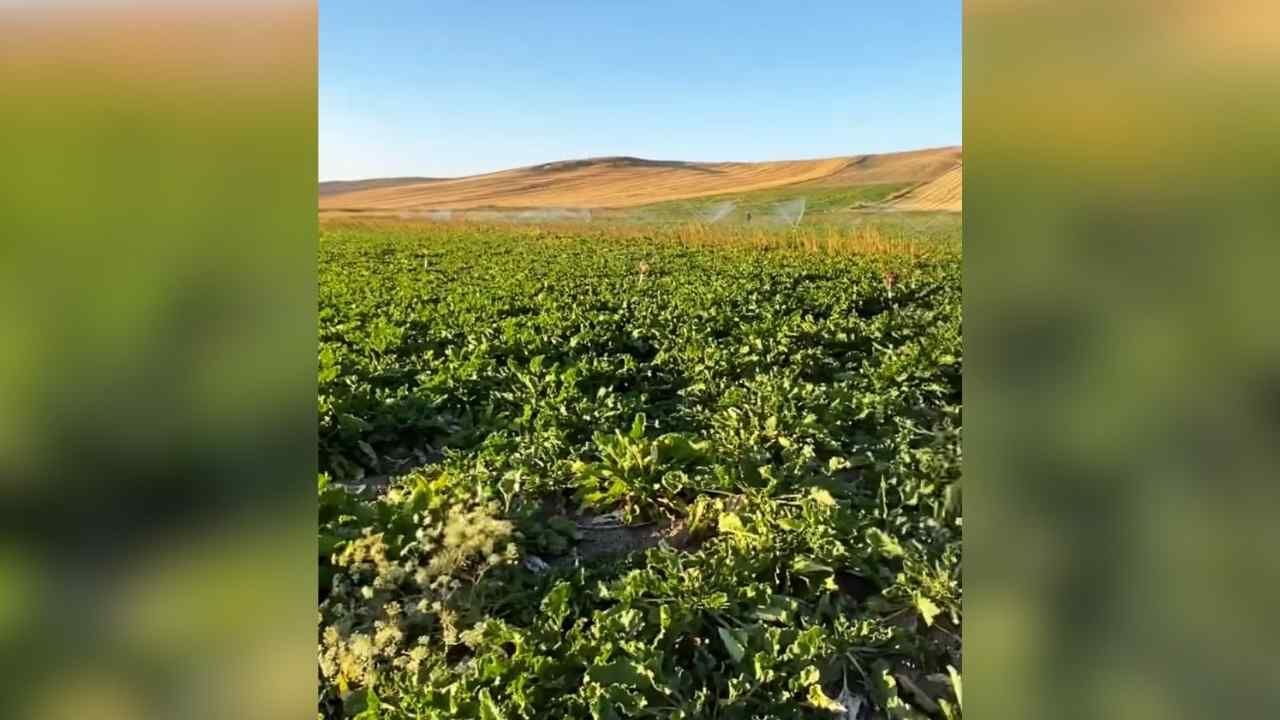 Esenli Sulama Birliği’nden Yozgatlı Çiftçilere Su Uyarısı (5)