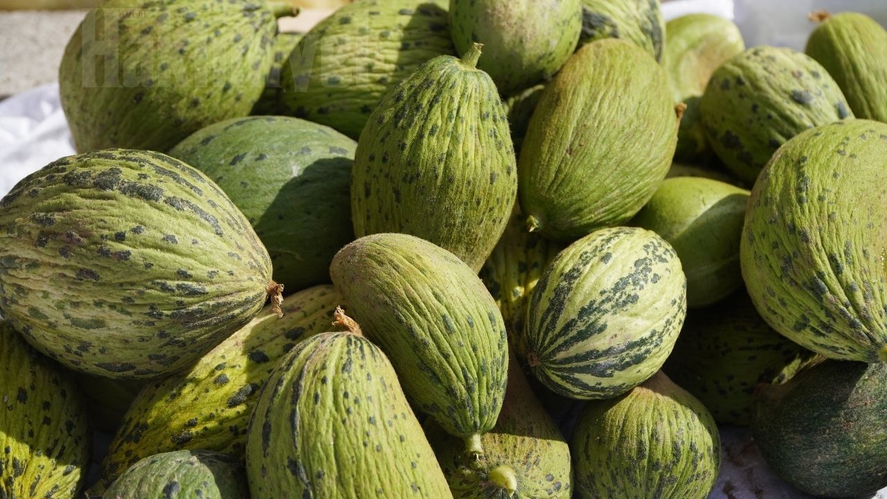 Sokaklar Şenlendi Közde Mısır, Yeşil Nohut Ve Kelek Tezgâhlarda (2)
