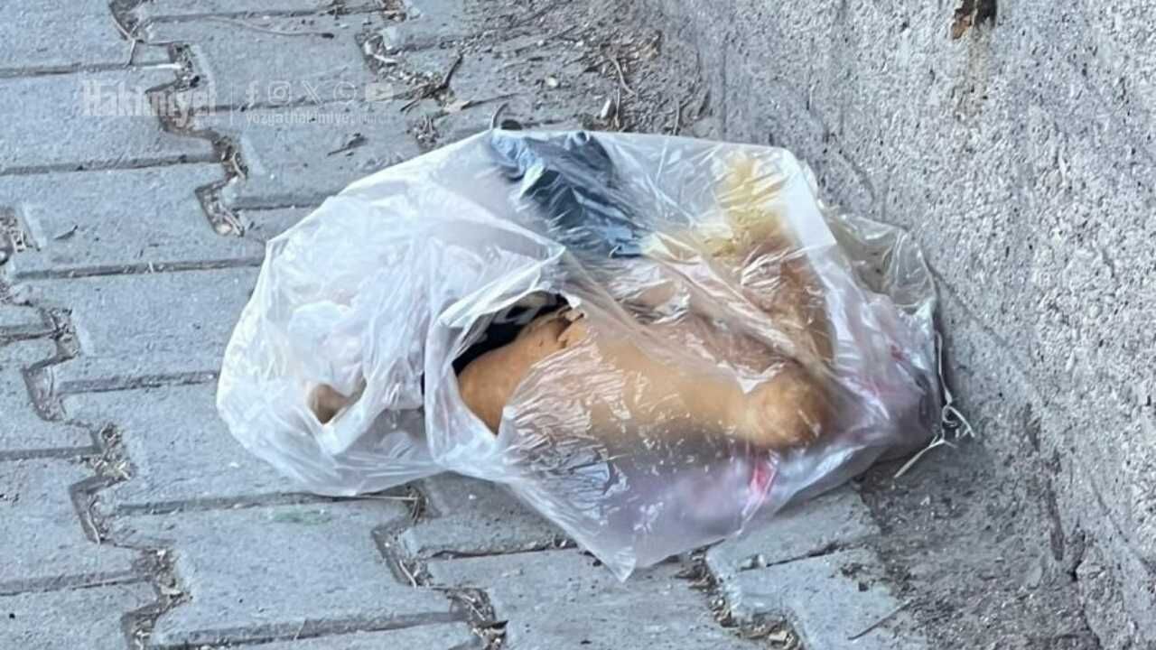 Yozgat Halkı Çevre Bilincinde Sınıfta Kaldı (1)