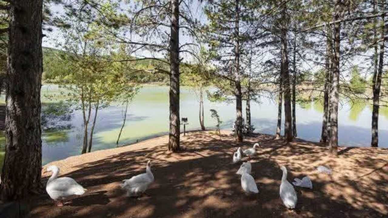 Yozgat Valiliği’nden Piknik Alanları İçin Temizlik Çağrısı (2)