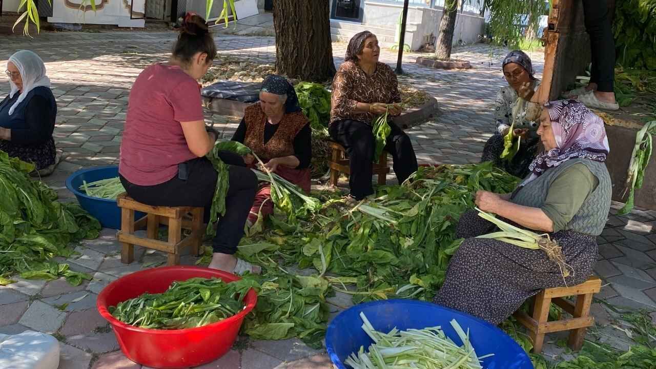 Yozgat’ın Meşhur Pezik Turşusu Böyle Hazırlanıyor!