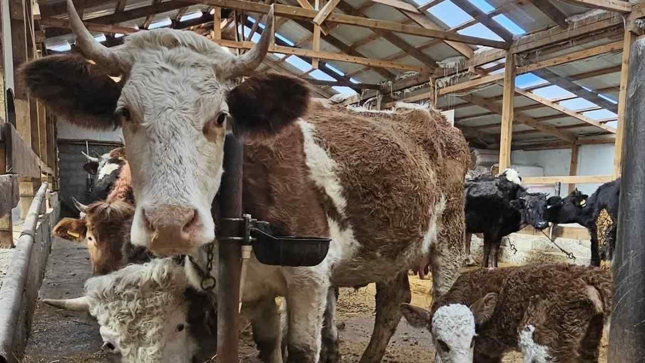 Yozgatlı Üreticiler Bu Projeyi Yeniden Konuşuyor (2)