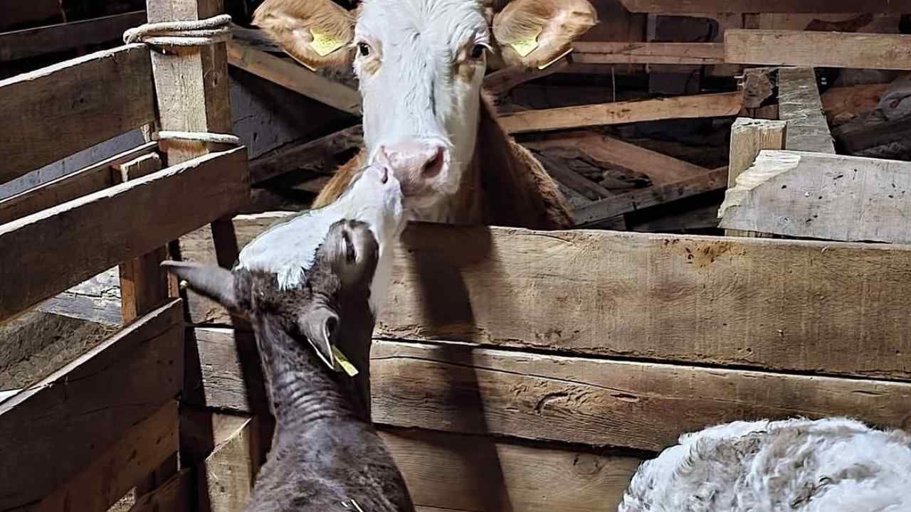 Yozgatlı Üreticiler Bu Projeyi Yeniden Konuşuyor (3)