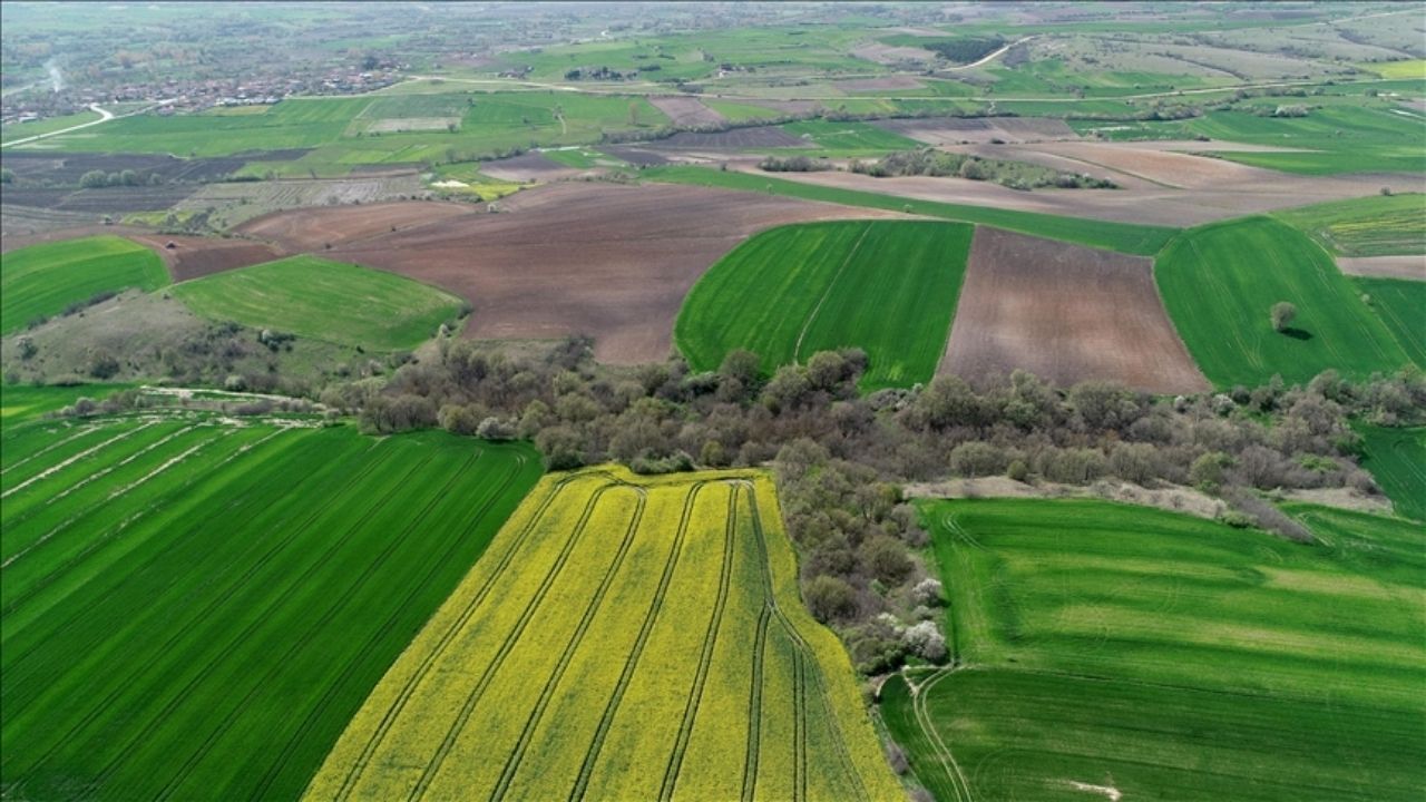 Yozgat'ta Belediye Duyurdu Arsalar Uygun Fiyata Satılıyor! (1)