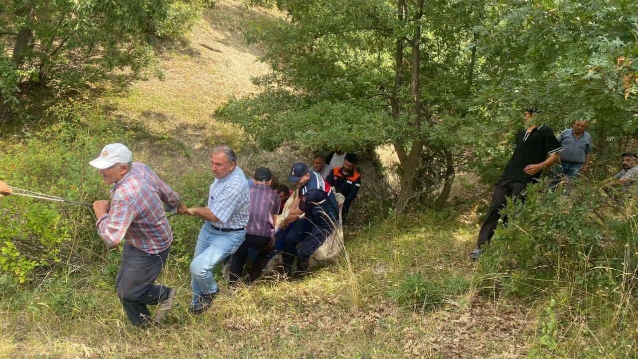 Yozgat'ta Dere Yatağına Düşen Büyükbaş Hayvan Kurtarıldı (1)