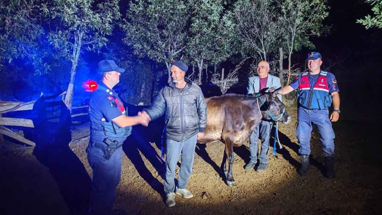 Yozgat'ta Kaybolan Büyükbaş Hayvan Sahibine Teslim Edildi (1)