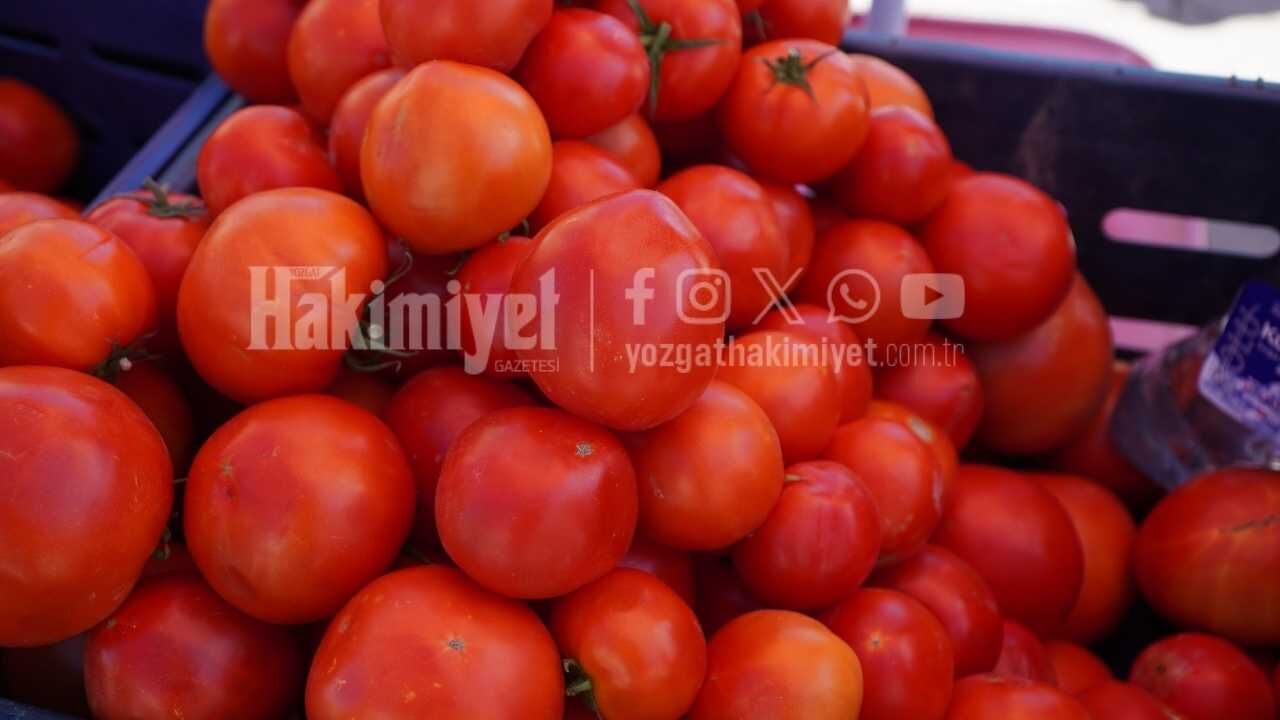 Yozgat’ta Kışlık Sezonun En Taze Satışı Başladı Doğrudan Tarladan Geliyor!
