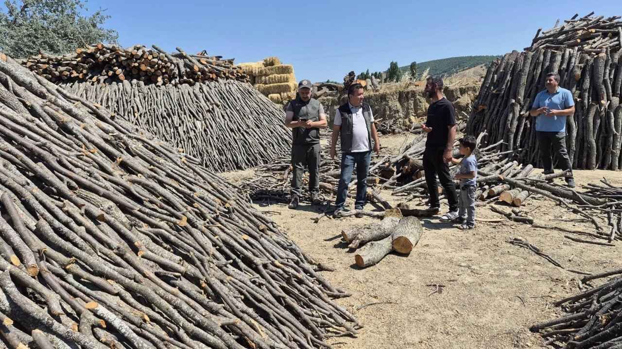 Yozgat’ta Orman Üretim Çalışmaları Mercek Altında!
