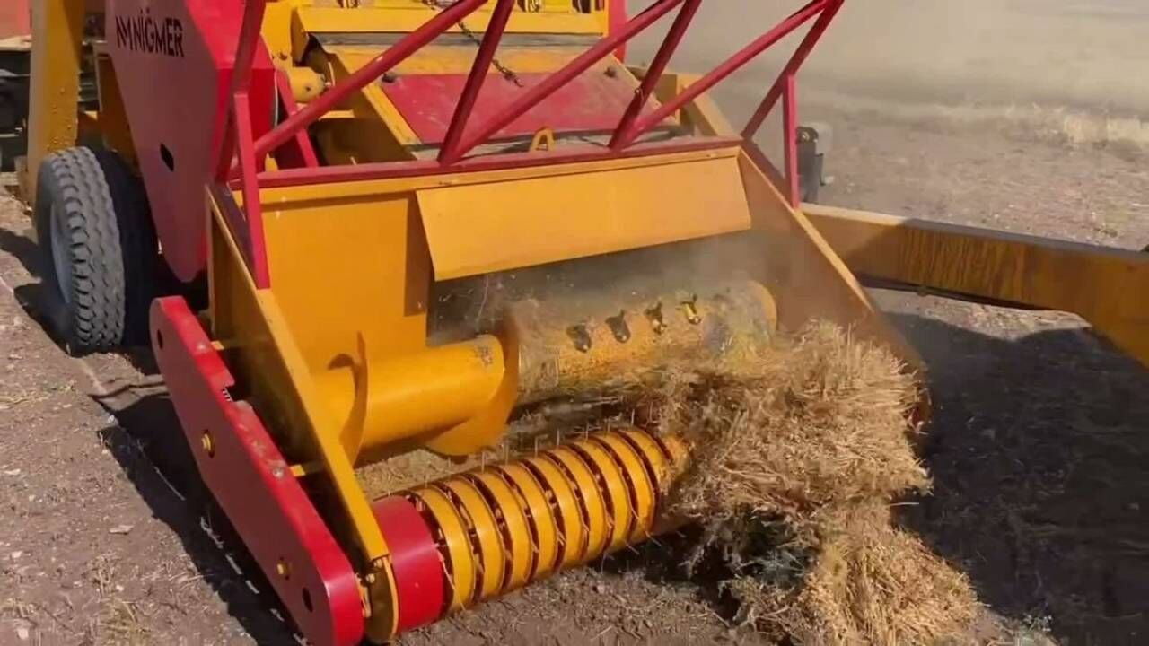 Yozgat’ta Yeşil Mercimek Alarmı! Gözler Tmo’ya Çevrildi (1)