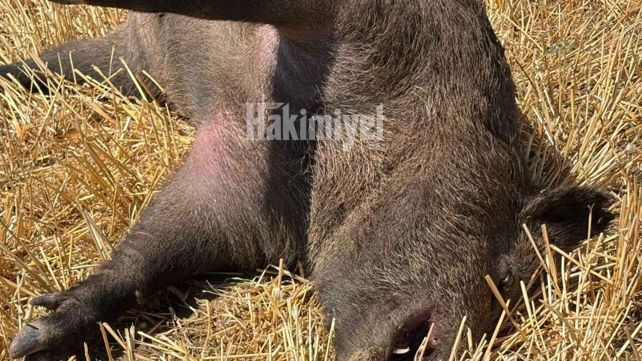 Yozgat’ta Yht Girişinde Şaşkına Çeviren Görüntü! (2)
