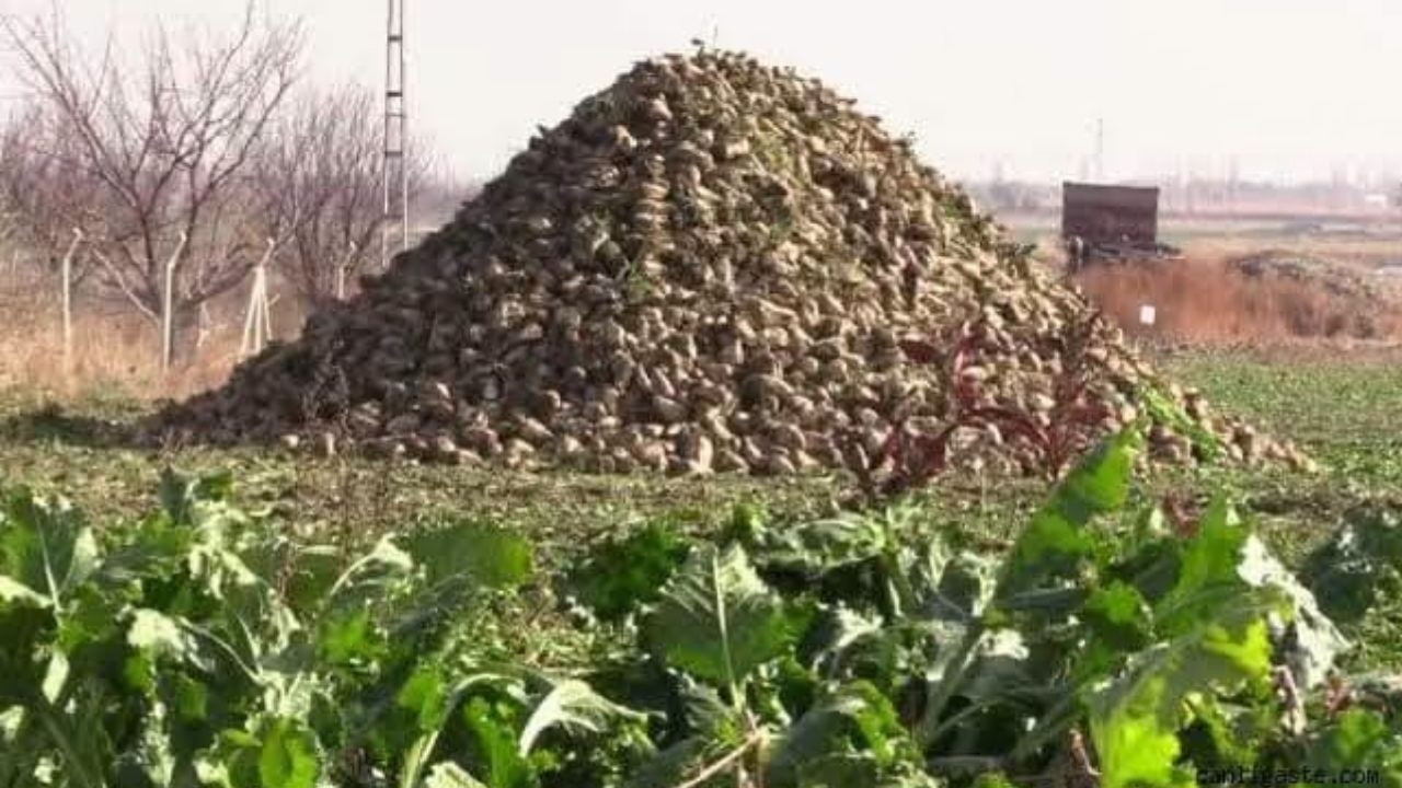 Akaryakıtta Kar Ederken Yollardan Olmayın! Yozgat Valiliği'nden Kritik Uyarı (3)