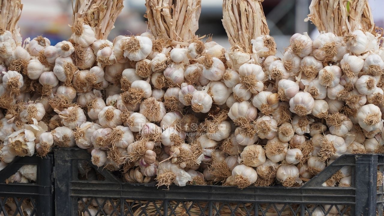 Altınla Yarışıyordu, Yarı Fiyatına Düştü Yozgat Pazarında Yüzleri Güldürdü